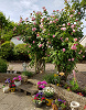 The Garden Room at Chapel Cottage