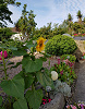 The Garden Room at Chapel Cottage